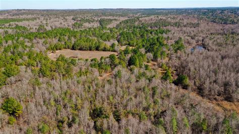 Twiggs County Ga 255 Acres Green Hill Land And Forestry