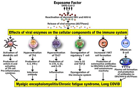 The Exposome Factor Or Lifetime Exposure To Internal And External