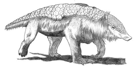 Reddit - Dive into anything