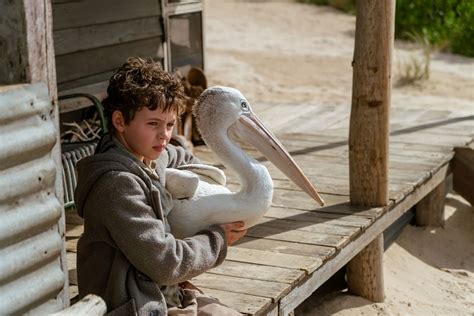 Storm Boy (2019) - The Screen Guide - Screen Australia