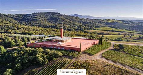 Se L Architettura Sposa Il Vino Visite Alle Cantine Firmate