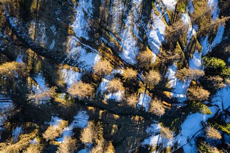 Lärchenwiese Möltner Joch Wandern in Südtirol Gardasee