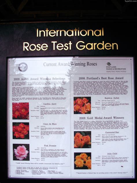 International Rose Test Garden – Portland photos • Andrew M. Crusoe