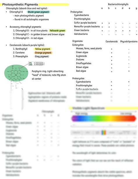 Solution General Biology I Notes Everything You Need To Know About