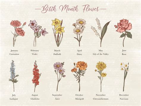 Aesthetic Flowers Names Best Flower Site