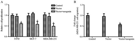 Overexpression Of Neogenin Inhibits Cell Proliferation And Induces