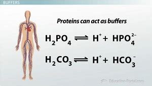 Strong & Weak Acids & Bases | Definition & Examples - Lesson | Study.com