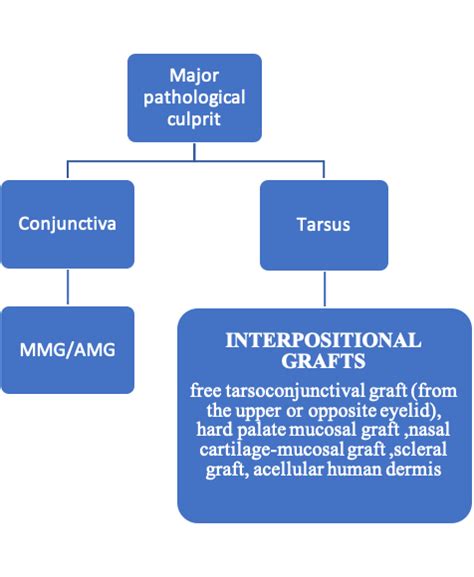 Entropion And Ectropion