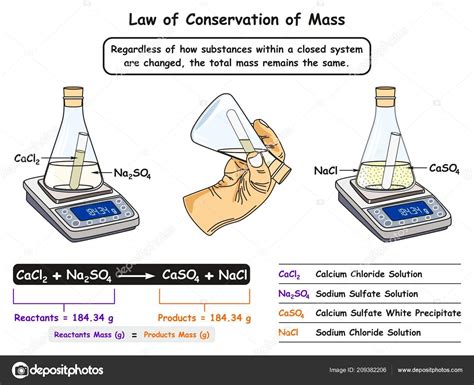 Ley Conservaci N Masa Diagrama Infogr Fico Que Muestra Experimento