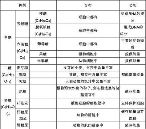 高中生物必修一第二章第四节细胞中的糖类和脂质 word文档在线阅读与下载 无忧文档