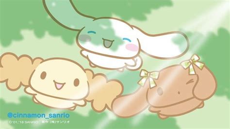 Cinnamoroll And Chiffon