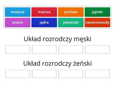 Klasa 7 Układ rozrodczy Materiały dydaktyczne