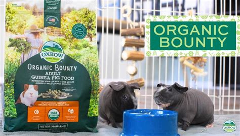 Organic Bounty Adult Rabbit Food - Oxbow Animal Health