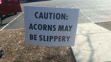 25 Funny Signs That Will Make You Laugh Funny Gallery EBaum S World