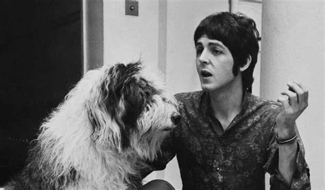 Top 5 Feliz Cumpleaños Paul Mccartney Revista Rocanrol