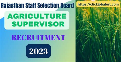 Rsmssb Agriculture Supervisor Recruitment 2023 430 Vacancies