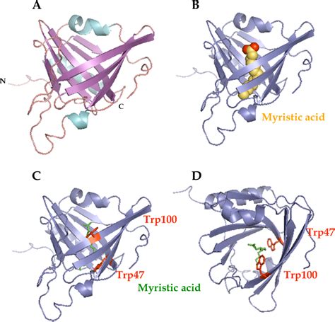 [PDF] Apolipoprotein M – Studies of Structure and Function | Semantic ...