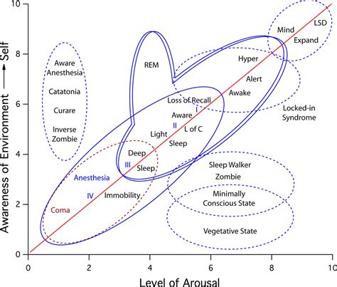 Unit States Of Consciousness Ap Psychology