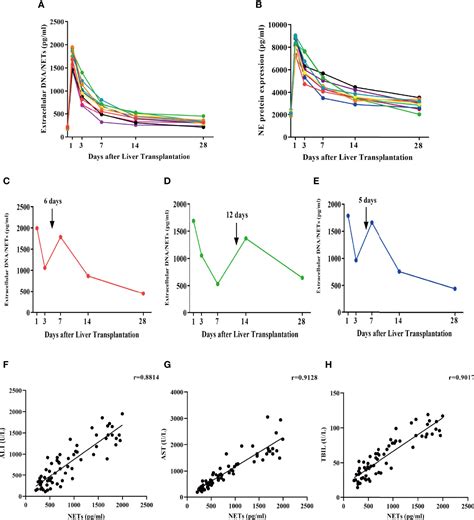 Frontiers Neutrophil Extracellular Traps Regulate Hmgb1 Translocation