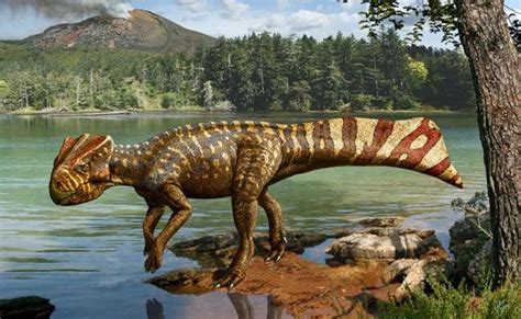 Tanzanya da yeni bir dinozor türünün fosili bulundu Fizikist