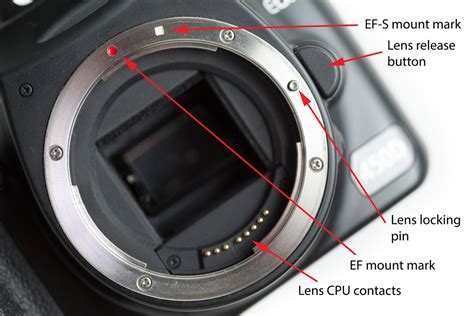 Lens mounts and interchangeable lenses | Discover Digital Photography