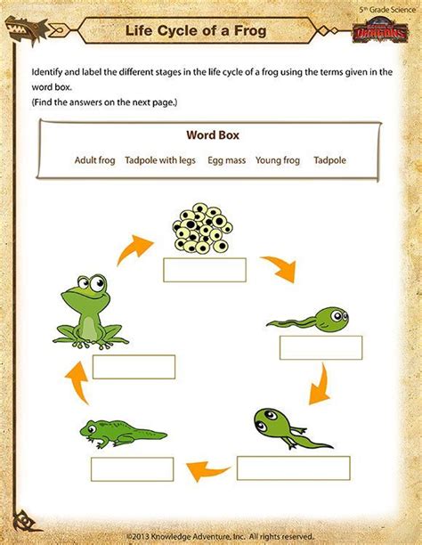 Life Cycle Grade 1