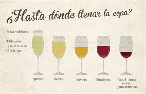 14 infografías sobre copas de vino aprende de vinos