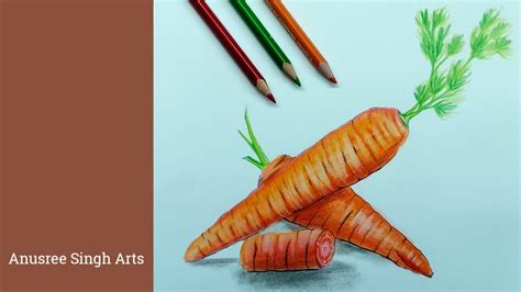 Carrots Drawing With Colour Pencils Vegetables Drawing Colour Pencil