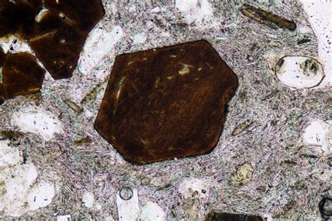 Biotite Thin Section