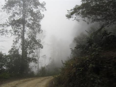 Recursos Forestales Hondure Os Honduras Nuestro Pa S