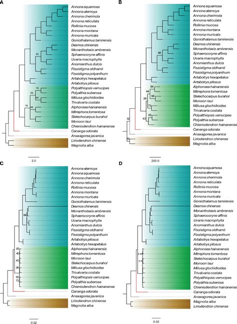 Frontiers Comparative Analysis Of Plastid Genomes Reveals