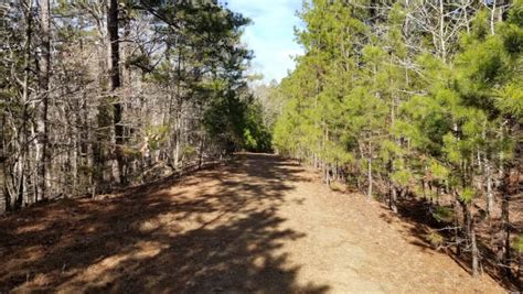 Forked Mountain Falls In The Flatside Wilderness Ar Own Backyard