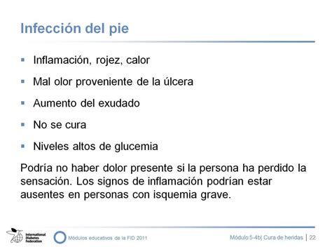 PPT NEUROPATÍA Diabética Y CURA DE HERIDAS EN LA EVP PowerPoint