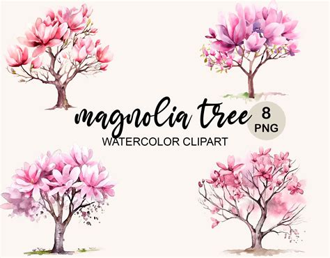 how to propagate a magnolia tree 7