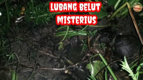 Beginilah Jika Nekat Mancing Belut Pada Malam Hari Saat Hujan Deras