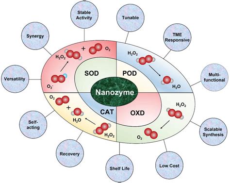 Smart Nanozymes For Cancer Therapy The Next Frontier In Oncology P