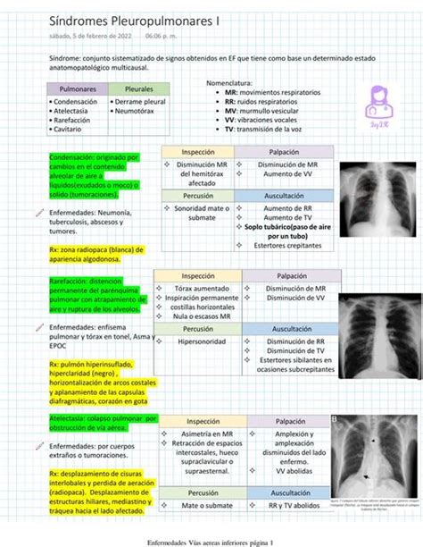 Síndromes Pleuropulmonares I uDocz