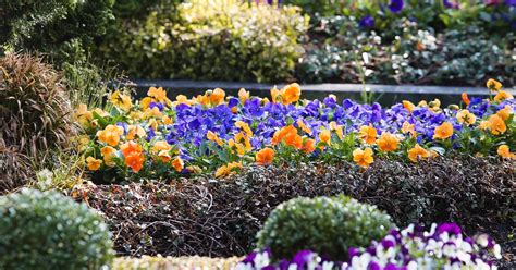 Das Grab Im Lauf Der Jahreszeiten Pfeffer Blumen