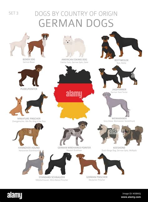 Dogs by country of origin. German dog breeds. Shepherds, hunting ...