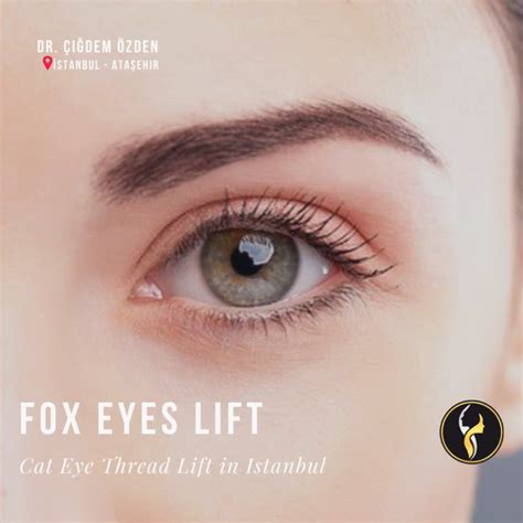 Fox Eyes Istanbul Non Surgical Eyebrow Lift Dr Çiğdem Özden