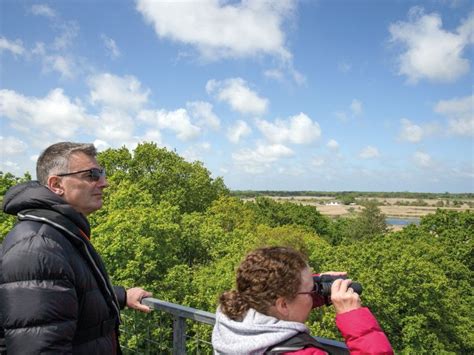 NWT Hickling Broad and Marshes National Nature Reserve | Visit Norfolk