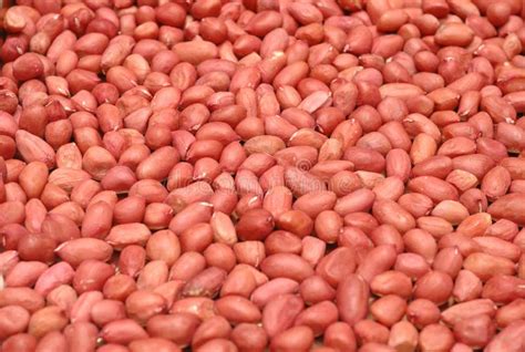 Red peanuts stock image. Image of fruits, nuts, detail - 12209795