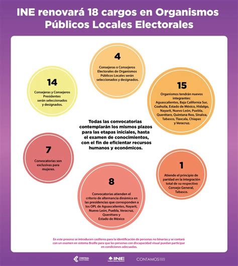 El Ine Renovará 18 Cargos En Los Organismos Públicos Locales Conoce