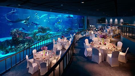 Sea Aquarium™ Visit Singapore Official