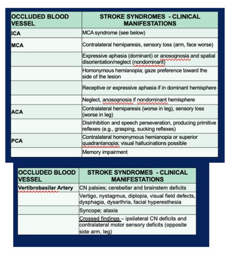 Clin Med 3 Exam 3 Neuro Flashcards Quizlet