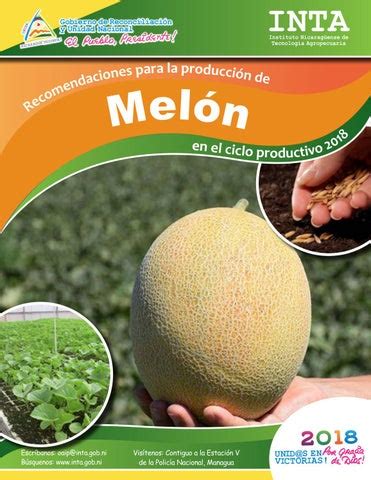 Recomendaciones Para La Producci N De Mel N En El Ciclo Productivo