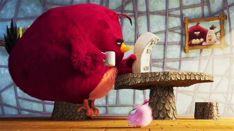 Fat Bird The Angry Birds Movie 2 Wallpaper 43307 - Baltana