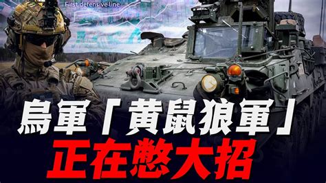 烏軍「布雷德利」24小時不停機，轟隆聲吵了俄軍好幾天，外媒：「黃鼠狼」們還沒出現，烏克蘭正在憋大招！ Youtube