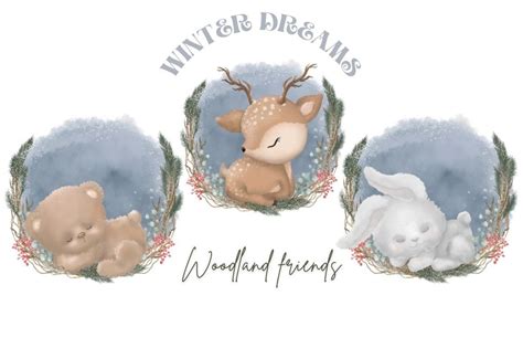 Winter Woodland Animals Clipart Graphic by KatrinSharmArt · Creative Fabrica