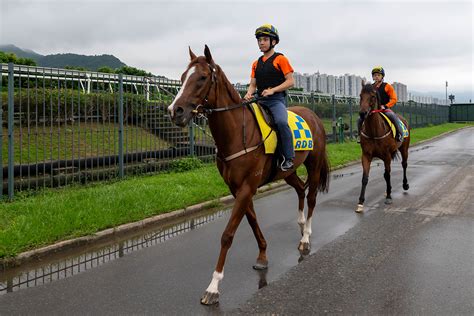 Hong Kong Jockey Clubs Trainee Recruitment Now Open To Nurture Future